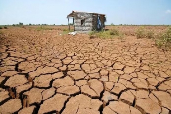 Chương trình hành động quốc gia chống sa mạc hóa: Góp phần xóa đói giảm nghèo bền vững