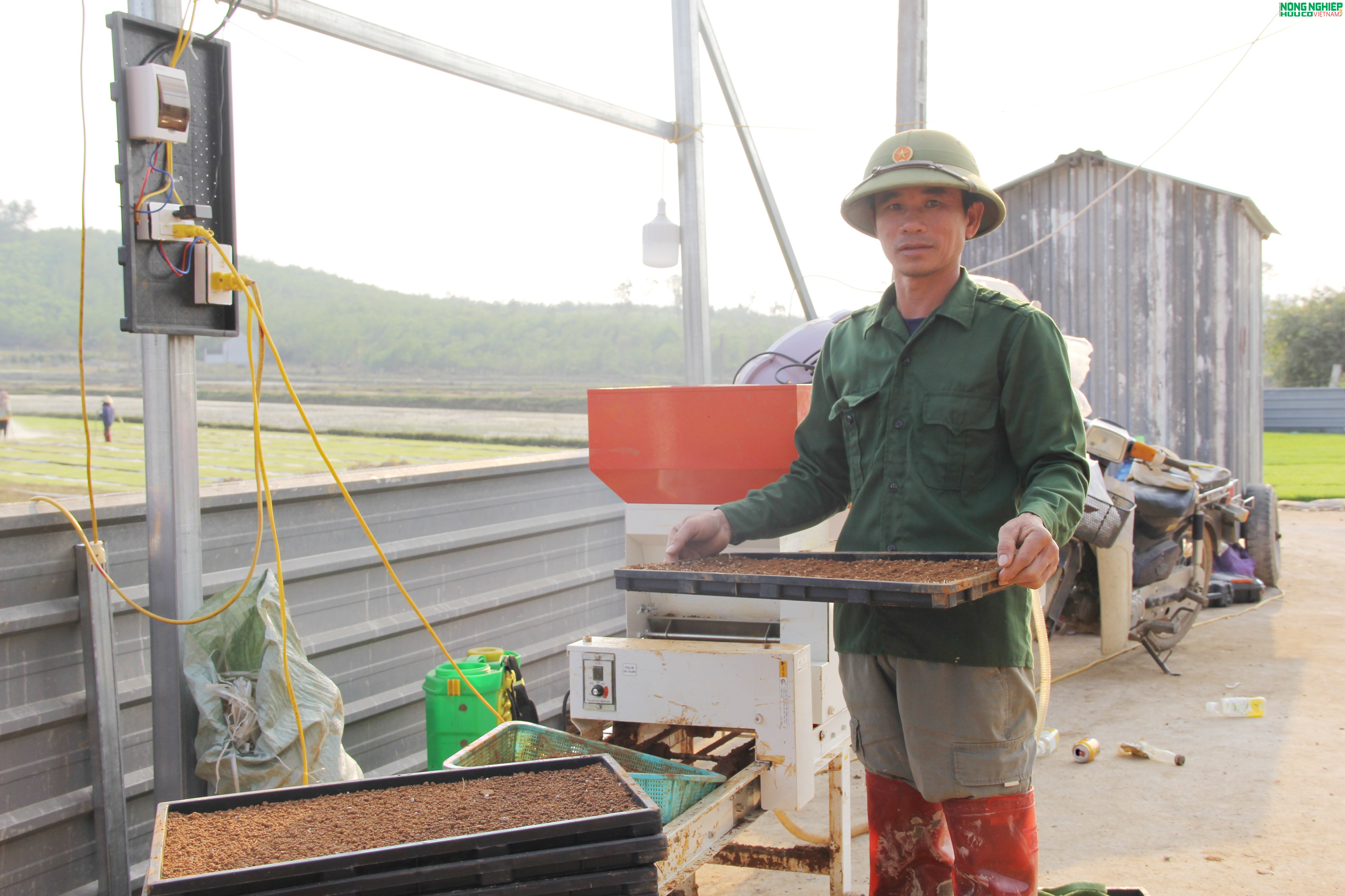 Nông dân xã Bình Minh tiên phong ứng dụng khoa học kỹ thuật, gieo mạ khay quy mô lớn