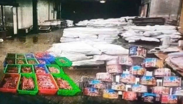 Tiêu hủy hơn 170 tấn thịt và sản phẩm đồ hộp của Công ty Đồ hộp Hạ Long