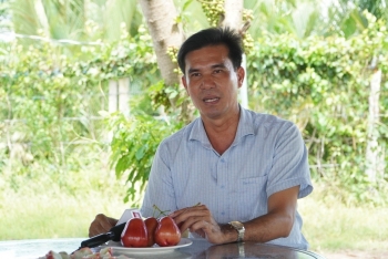 Lai tạo giống mận mới, "nhà khoa học nông dân" thu hàng chục tỷ mỗi năm