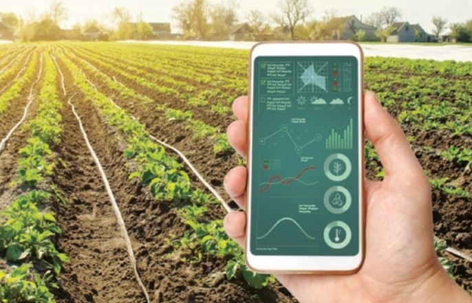 Quyết tâm thực hiện truy xuất nguồn gốc cho 100% sản phẩm, hàng hóa có độ rủi ro cao