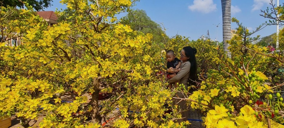 Đắk Lắk: Rộn ràng chuỗi hoạt động văn hóa, nghệ thuật chào Xuân Bính Ngọ 2026