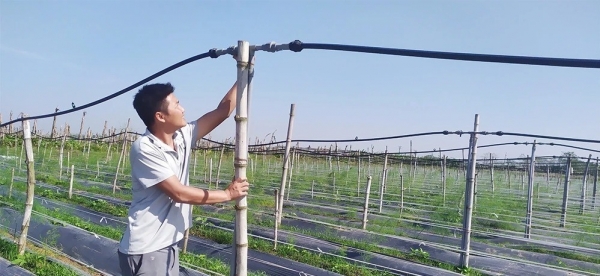 Sử dụng nước hợp lý trong sản xuất nông nghiệp