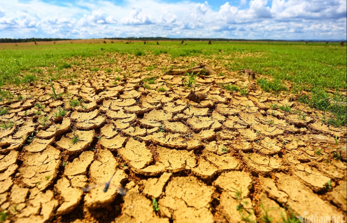 Chống sa mạc hóa tại Việt Nam - Bài 1: Đòn bẩy xóa đói giảm nghèo bền vững