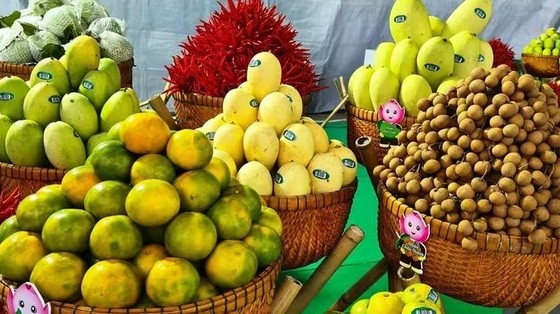 Năm 2025 thành công và dự báo tương lai xuất khẩu nông sản sang Trung Quốc