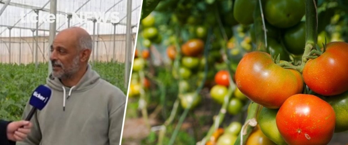 Bí quyết giúp nông dân Israel biến vùng đất khô cằn thành ốc đảo trù phú