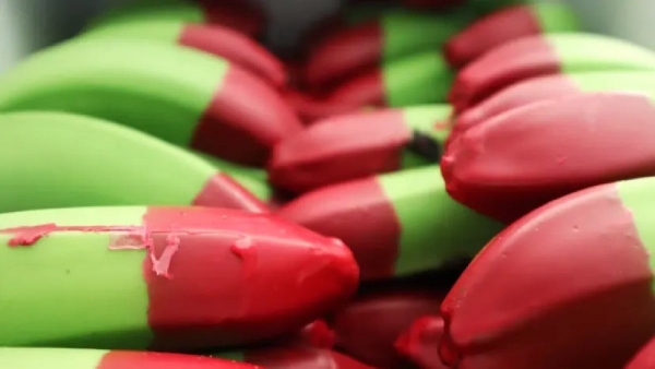 Chuối đầu đỏ vừa sạch vừa lạ của nông dân Úc gây bão mạng toàn cầu