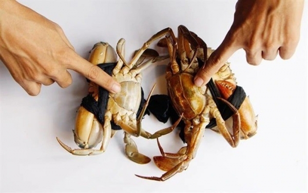 Bí quyết chọn cua biển chắc thịt, gạch đặc béo ngậy không phải ai cũng biết