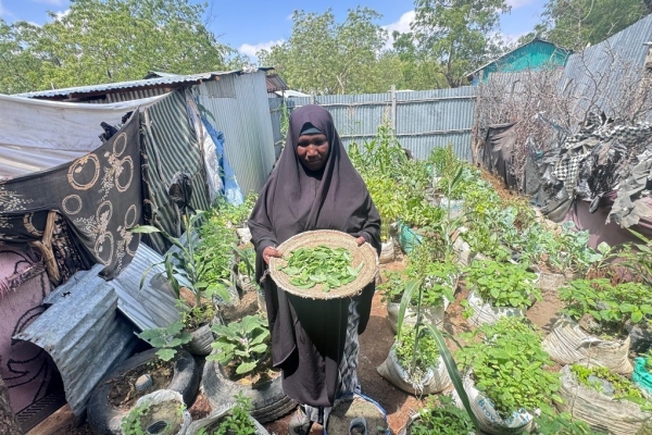 Gieo rau trên đất cát: Hành trình vươn lên của một phụ nữ tị nạn Somali