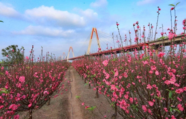 Khoa học công nghệ “bàn đạp” chuyển đổi xanh, phát triển thủ đô bền vững