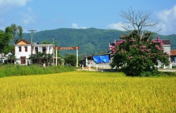 Nông dân Quảng Ngãi góp hàng tỷ đồng chung tay xây dựng nông thôn mới