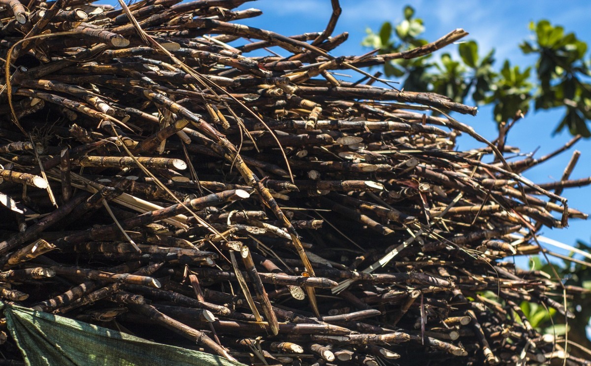 Indonesia không nhập khẩu gạo và đường trong năm 2026 do dự trữ nội địa dồi dào