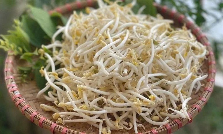 Hải Phòng: Phát hiện hơn 5 tấn giá đỗ sử dụng chất cấm để ngâm ủ