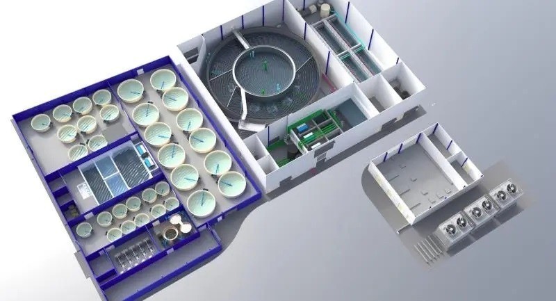 Singapore khởi động dự án nuôi cá hồi vân công nghệ cao ngay tại vùng nhiệt đới
