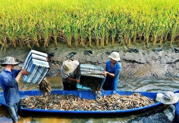 Kiến tạo những miền quê cân bằng và bền vững