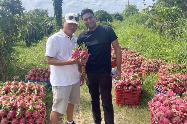 Ấn Độ tiếp tục là thị trường ổn định cho thanh long Việt Nam sau Trung Quốc