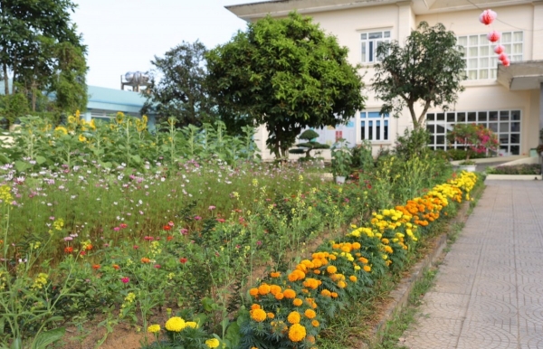 Không khí xuân ấm áp tại Trung tâm Điều dưỡng người tâm thần Quảng Nam