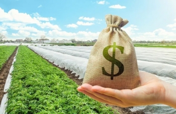USDA giải ngân nhanh hàng nghìn khoản hỗ trợ cầu nối cho nông dân Hoa Kỳ