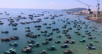 Siết chặt kiểm soát tàu cá ra vào cảng, quyết tâm gỡ “thẻ vàng” IUU