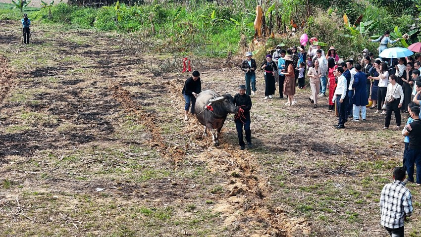 Về vùng cao Bảo Nhai vui hội Lồng tồng ngày xuân