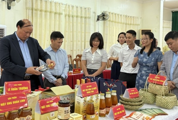 Cao Bằng: Đánh giá, phân hạng sản phẩm OCOP cấp tỉnh năm 2025