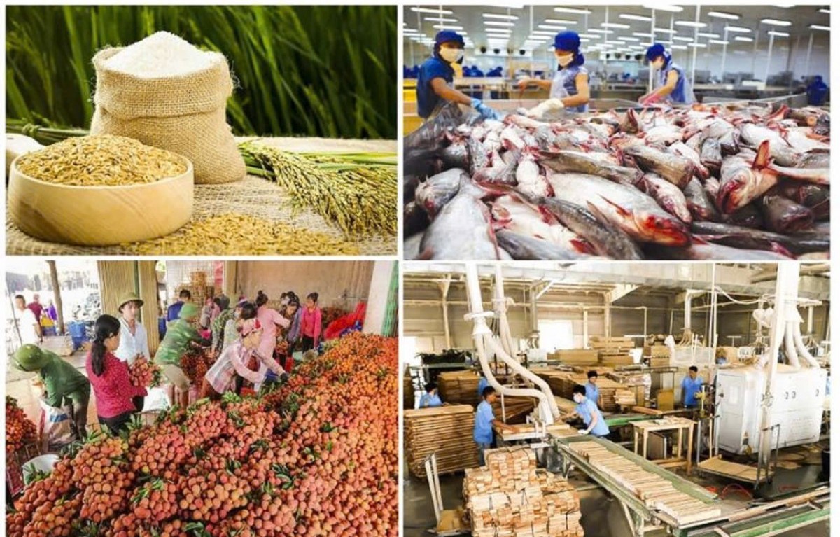 Bộ Nông nghiệp và Môi trường đẩy mạnh giải pháp thúc đẩy xuất khẩu nông, lâm, thủy sản