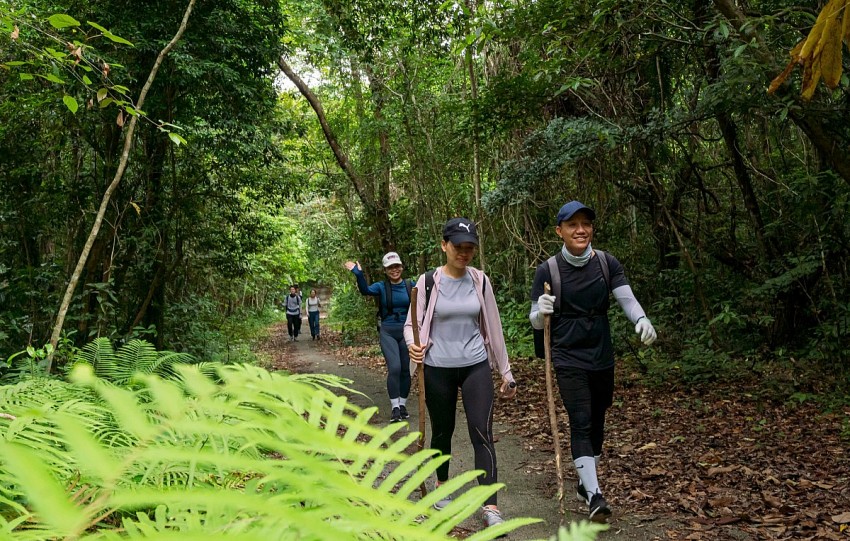 “Tắm rừng” ở Vườn quốc gia Cát Bà: Thúc đẩy mô hình du lịch sinh thái bền vững
