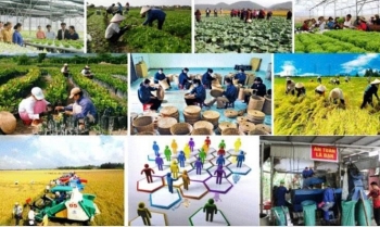 Lâm Đồng đẩy mạnh kinh tế tập thể năm 2026 theo hướng xanh và bền vững