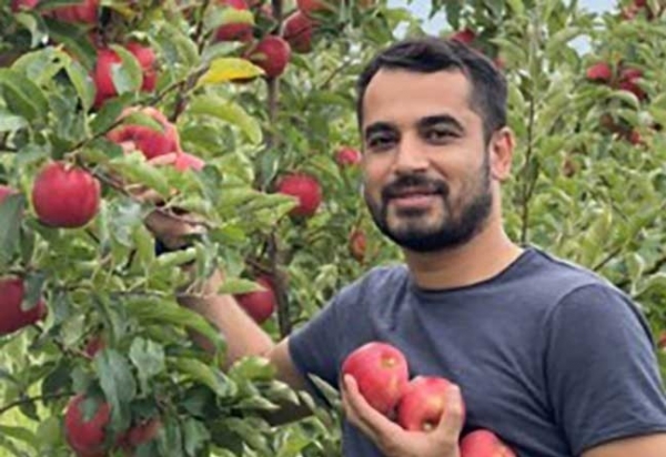 Các nhà khoa học Mỹ phát triển mô hình dự báo bệnh cháy lá vi khuẩn