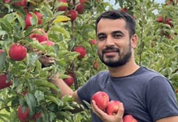 Các nhà khoa học Mỹ phát triển mô hình dự báo bệnh cháy lá vi khuẩn