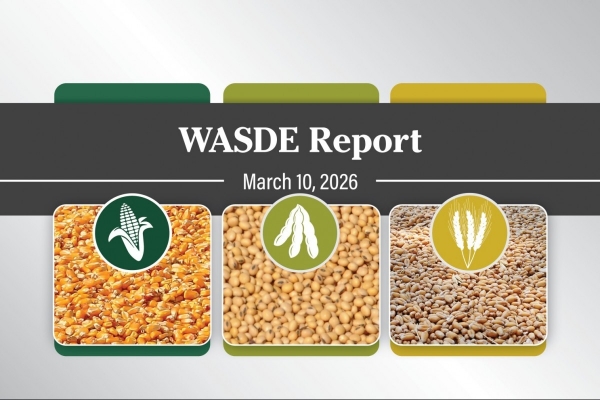 Báo cáo WASDE tiếp tục giữ vai trò then chốt trong dự báo thị trường nông sản toàn cầu