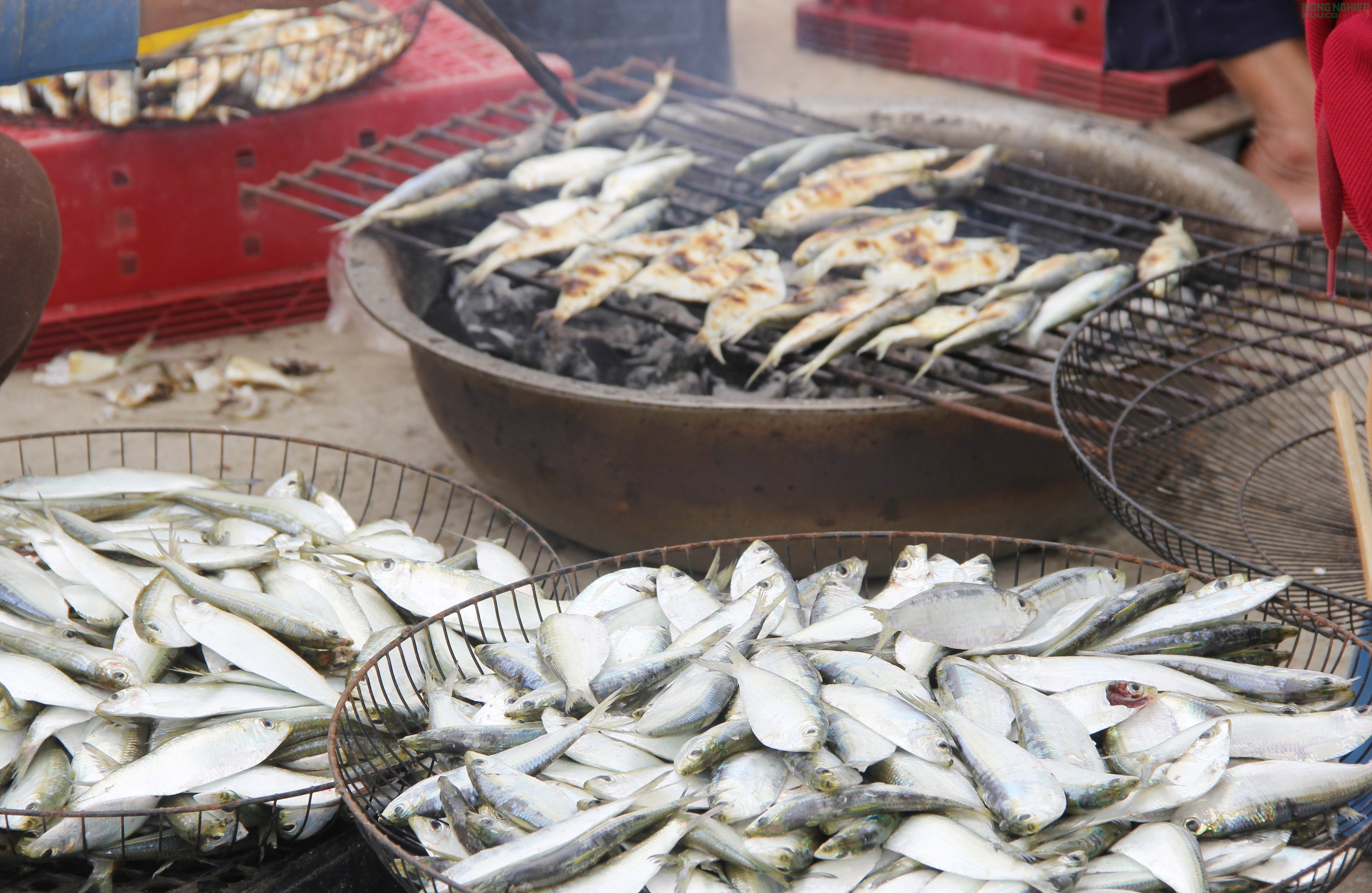 Mỏi tay gỡ cá trích, ngư dân Nghệ An kiếm tiền triệu sau mỗi chuyến biển