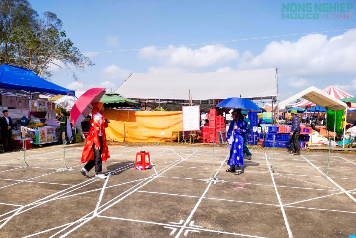 Sôi nổi các hoạt động văn hóa, thể thao tại lễ hội đền Đức Hoàng năm 2026