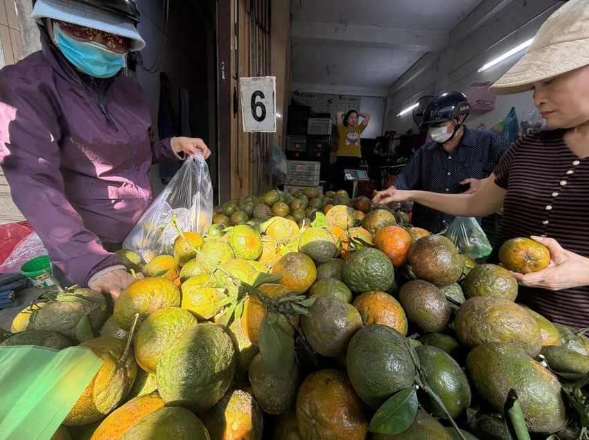 Nông sản rớt giá mạnh, siêu thị tại TP.HCM đồng loạt ra tay hỗ trợ