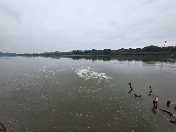 Đã có kết luận việc xả thải của Nhà máy giấy Yên Bình ra sông Hồng