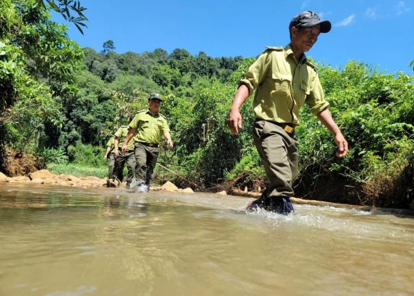 Chấn chỉnh kỷ luật, kỷ cương hành chính trong lực lượng Kiểm lâm