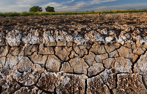 Khôi phục độ phì nhiêu cho đất - chìa khóa tăng năng suất