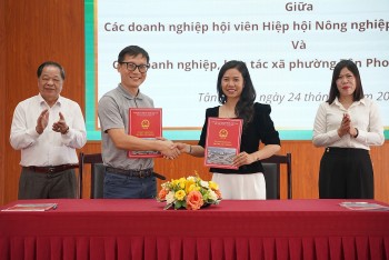 Thúc đẩy liên kết doanh nghiệp, mở lối phát triển nông nghiệp hữu cơ