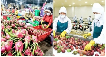 Cảnh báo nguy cơ vi phạm dư lượng thuốc BVTV trên chanh leo, thanh long xuất khẩu sang EU