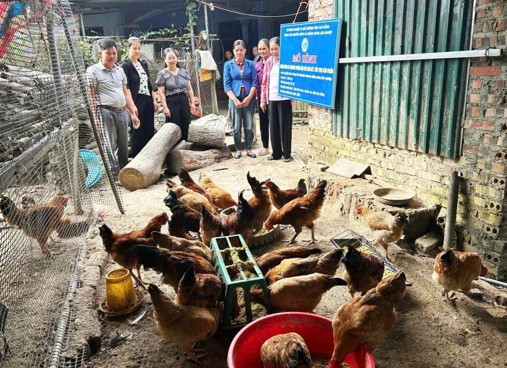 "Cầu nối" đưa khoa học kỹ thuật đến nông dân