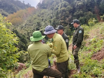 “Lá chắn xanh” bền bỉ giữ mạch sống cho thành phố