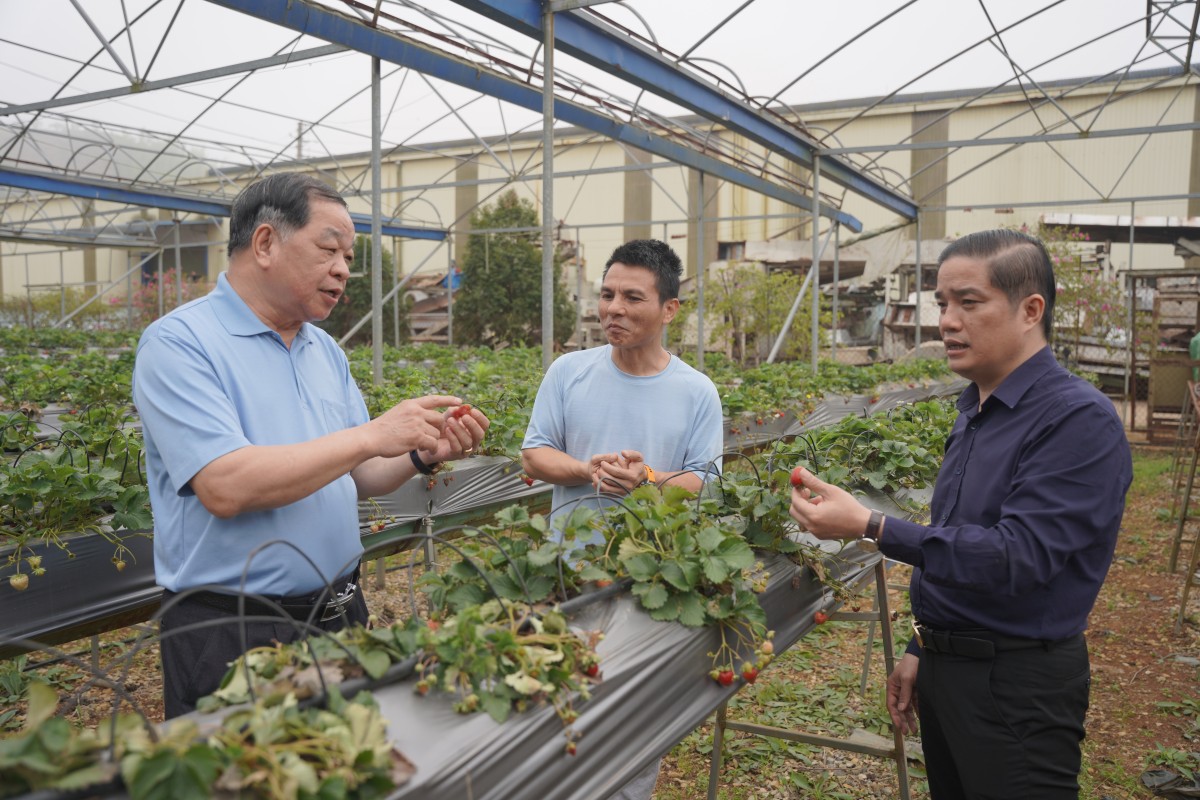 Giải bài toán phát triển nông nghiệp hữu cơ tại Sơn La
