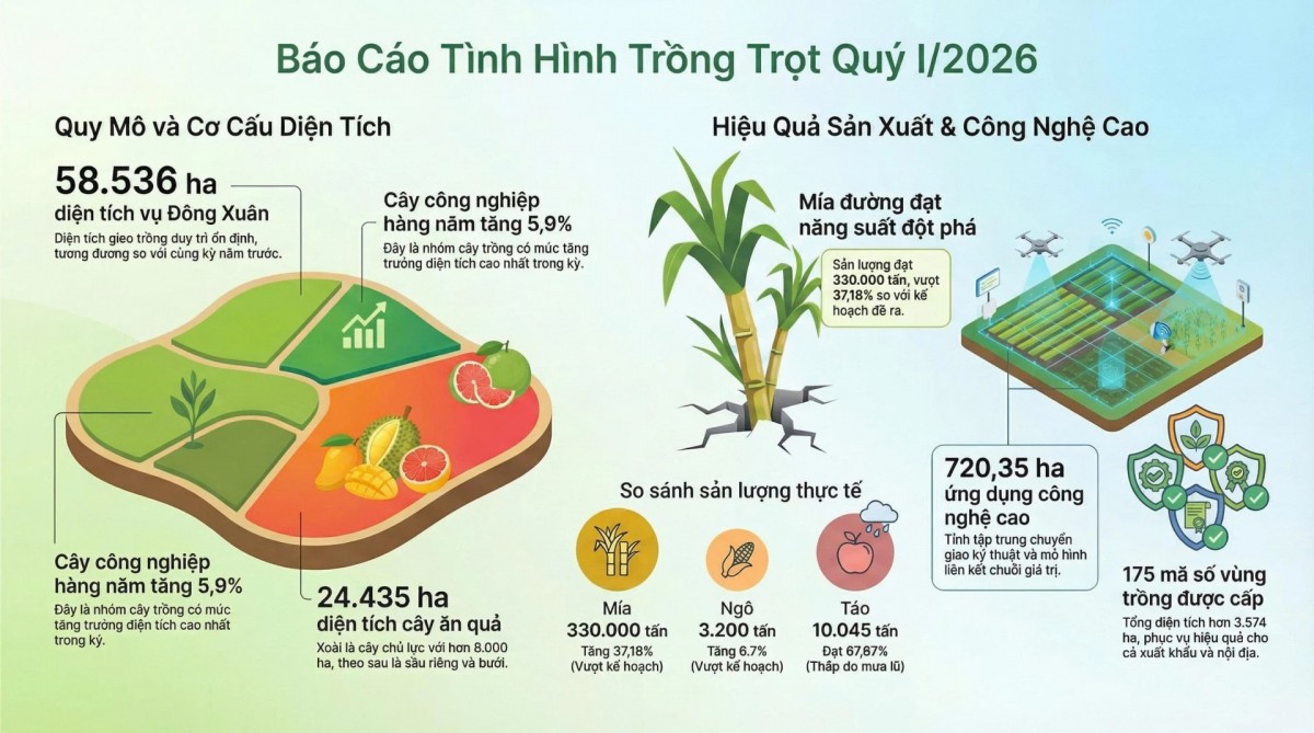 Khánh Hòa: Trồng trọt khởi sắc, sản lượng nhiều nông sản vượt kế hoạch
