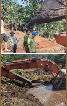 Lâm Đồng: Tạm giữ phương tiện liên quan vụ phá rừng tại xã Tuy Đức