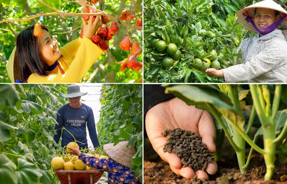 Nghị quyết mới của Chính phủ mở hướng phát triển nông nghiệp hữu cơ, tuần hoàn