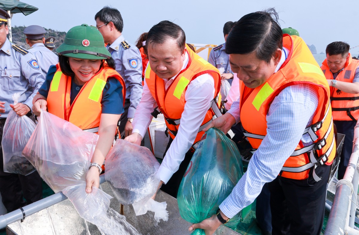 Hải Phòng: Tổ chức Lễ thả con giống tái tạo nguồn lợi thủy sản trên vùng biển Cát Bà năm 2026