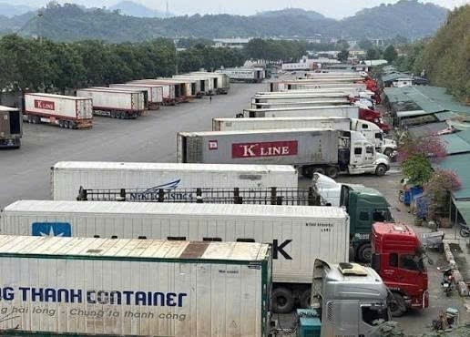 Chính phủ quyết định tạm ngưng hiệu lực áp dụng Nghị định số 46 về an toàn thực phẩm