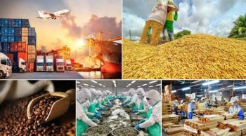 Siết chặt quản lý thực phẩm nhập khẩu vào Trung Quốc: Doanh nghiệp Việt cần chủ động thích ứng