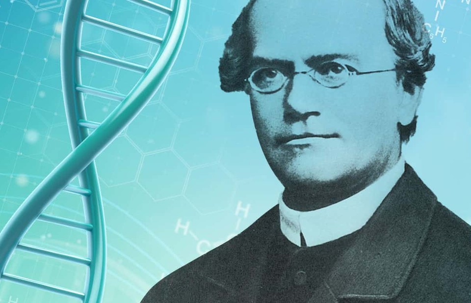 Thuyết di truyền Mendel - Nền tảng của di truyền học hiện đại