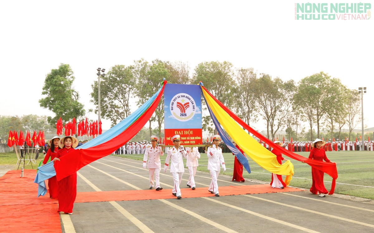 Khai mạc Đại hội Thể dục Thể thao xã Tam Đồng, lần thứ nhất năm 2026